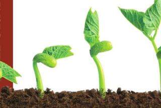 Objavljen zbornik KOGA (P)ODRŽAVA ODRŽIVI RAZVOJ?