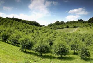 Projekt Ecopark Vojnić