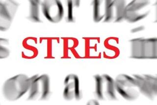 STRESS LOAD – Longitudinalno istraživanje stresa adolescenata