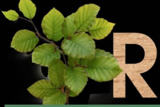 Projekt RURALIKA: Edukacija članova projektnog tima za rad u MAXQDA programu, 20.-21. 1. 2022.