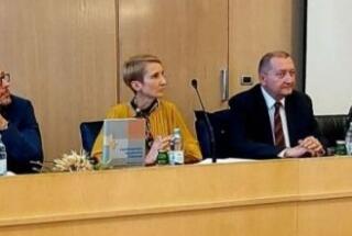 Predstavljanje knjige “Vukovarsko-srijemska županija. Demografski izazovi, kvaliteta življenja i perspektiva razvoja”; Vukovar, 9. 11. 2022.