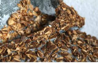 Dr. sc. Vinicije B. Lupis na izložbi Miris zemlje – hommage fra Didaku Buntiću akademske kiparice Dijane Ive Sesartić, 8. 12. 2022.