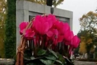 Poziv na međunarodnu znanstvenu konferenciju RE-INTERPRETING THE FIRST WORLD WAR CULTURAL MEMORY – Prijave do 15. 3. 2023.