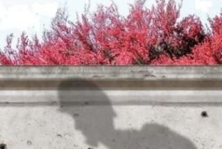 Tribina: VUKOVAR DANAS – SJEĆANJE NA RAT I IZAZOVI RAZVOJA; Varaždin, 21. 4. 2023.