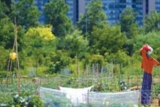 Objavljena studija Augustina Derada TKO NAPREDUJE A TKO PREŽIVLJAVA? Životne strategije u posttranzicijskoj Hrvatskoj