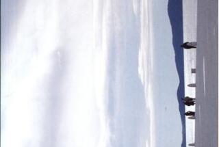 Objavljena knjiga dr. sc. Inge Tomić-Koludrović i sur. ZADARSKA RIVA