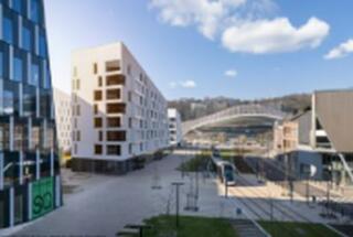 Dr. sc. Caroline Hornstein Tomić prezentirala rad „Croatia’s migration transition: An analysis of current media content“ na 2026 IMISCOE Spring Conference; Liège, 16.-18. 3. 2026.